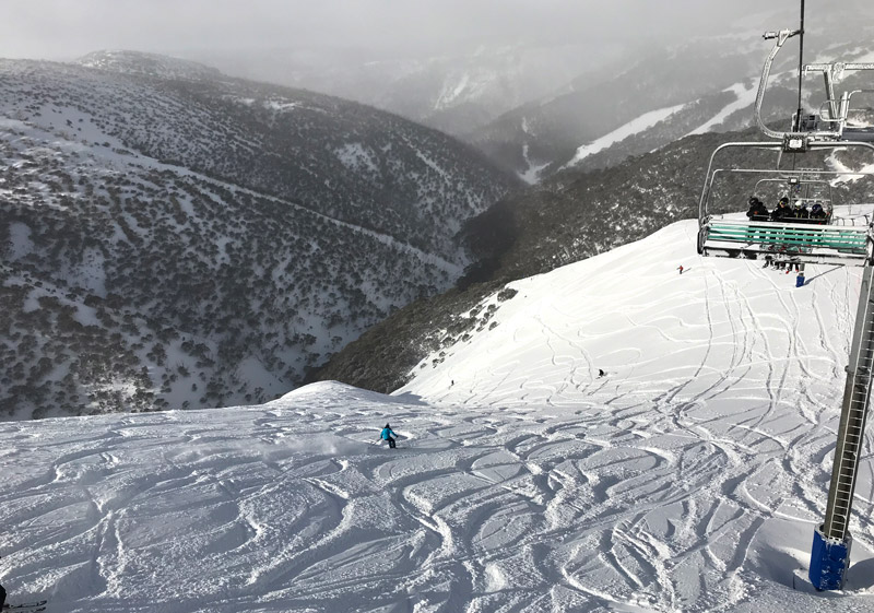 Ski Hotham Resort Mt Hotham Skiing Terrain Review