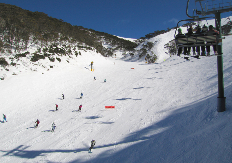 Ski Hotham Resort Mt Hotham Skiing Terrain Review