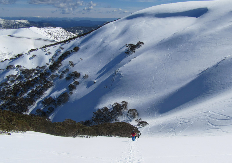 Ski Hotham Resort Mt Hotham Skiing Terrain Review