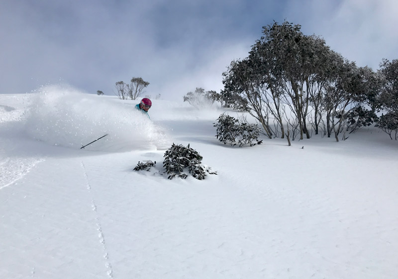 Ski Hotham Resort Mt Hotham Skiing Terrain Review