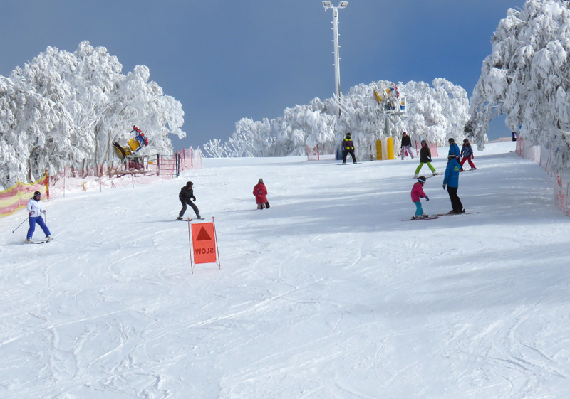 Ski Hotham Resort Mt Hotham Skiing Terrain Review