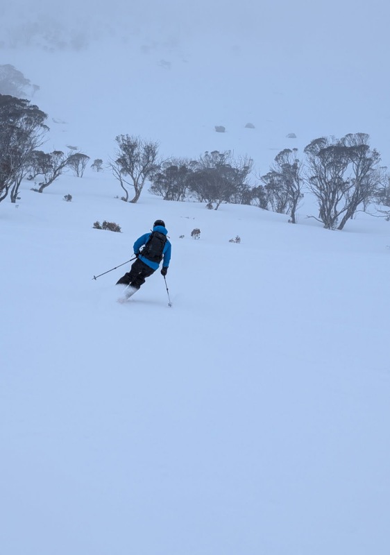 Mt Perisher powder skiing