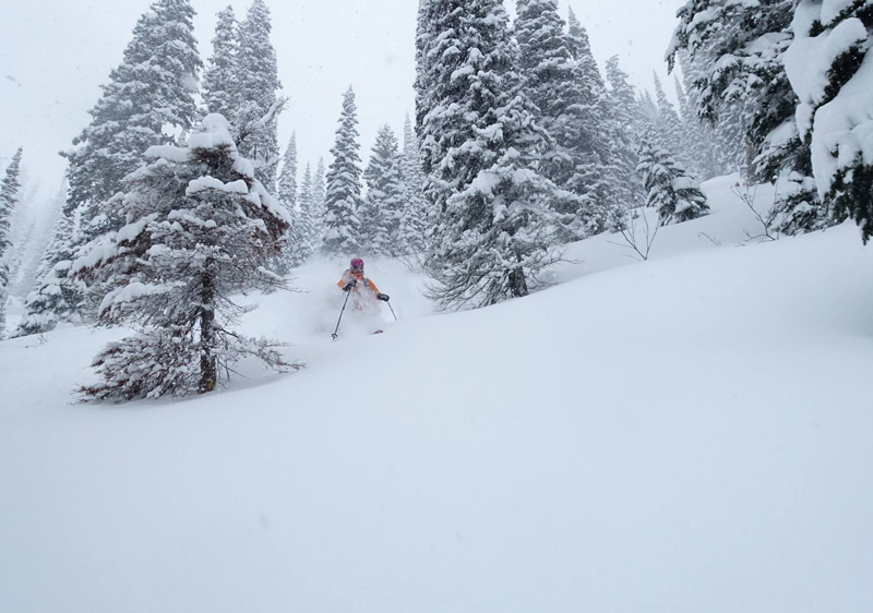 Best Cat Skiing Canada Top Snowcat Skiing BC