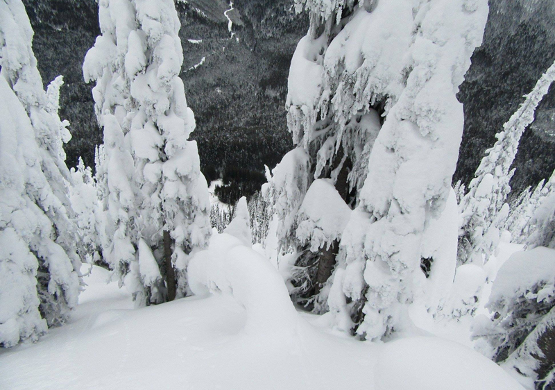 Best Cat Skiing Canada Top Snowcat Skiing BC