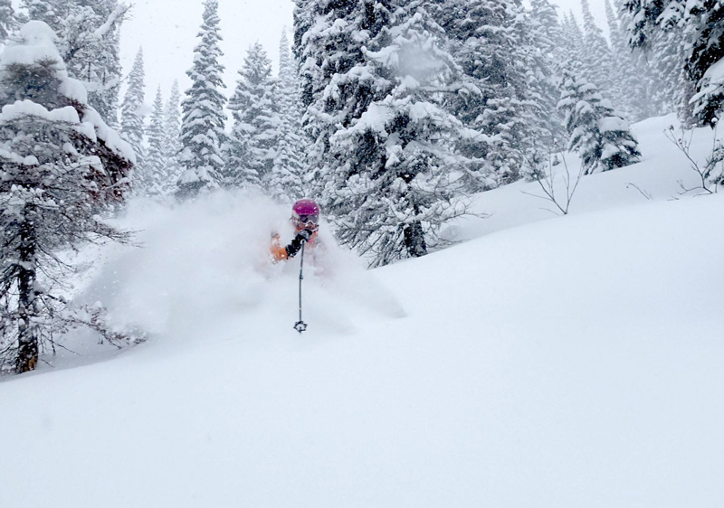 Best Cat Skiing Canada Top Snowcat Skiing BC