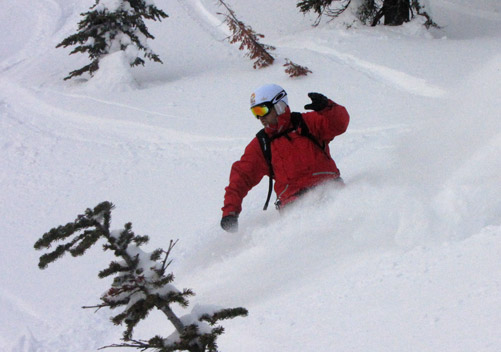 Fernie Wilderness Cat Skiing BC