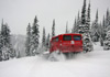 Island Lake Cat Skiing, Fernie