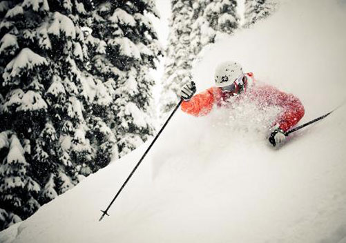 Mustang Powder Cat Skiing Revelstoke