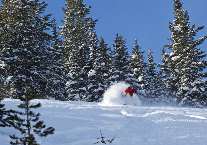 Castle Mountain Cat Skiing Powder Stagecoach Alberta