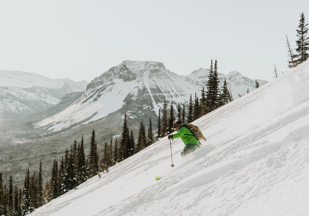 Castle Mountain Cat Skiing Powder Stagecoach Alberta