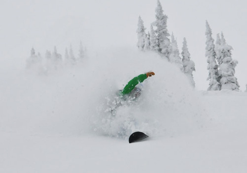 Revelstoke Cat Skiing