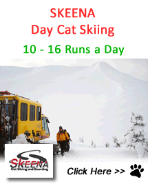 Skeena Day Cat Skiing PAckages