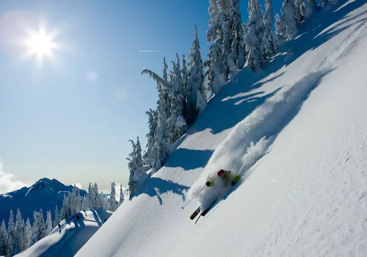 Silver Tip Lodge Heliskiing