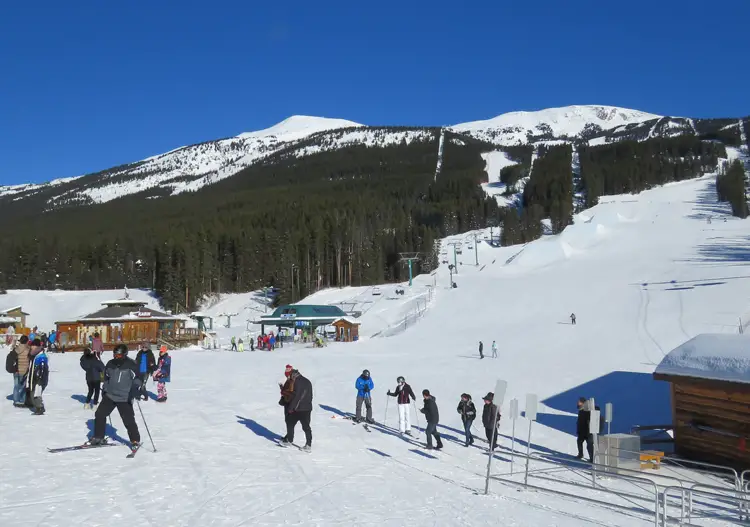 Lake Louise Skiing Lake Louise Ski Area Terrain