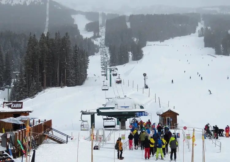 Lake Louise Skiing Lake Louise Ski Area Terrain