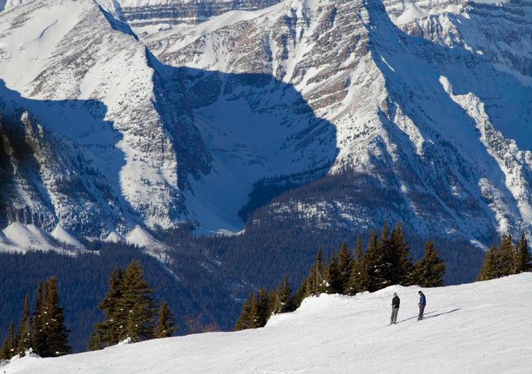 Lake Louise Skiing Lake Louise Ski Area Terrain