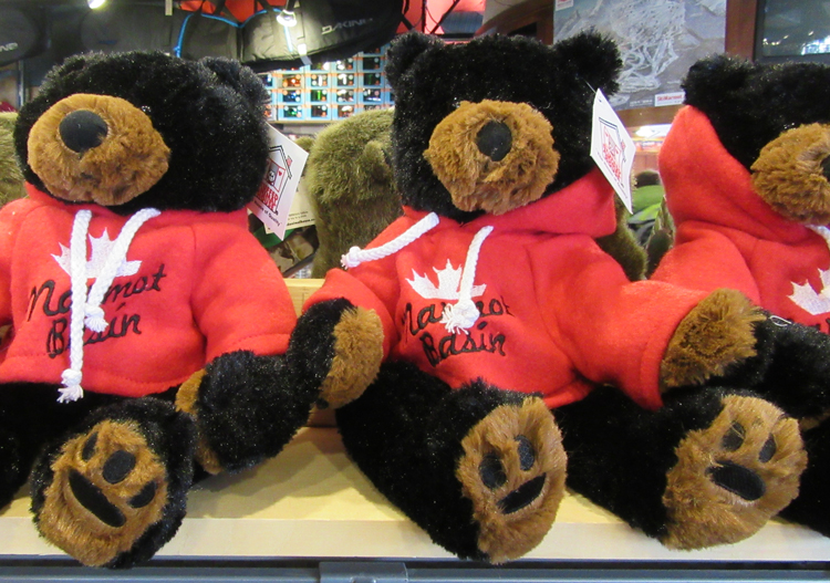 Jasper Ski Rentals Marmot Basin Facilities