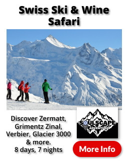 Swiss Ski and Wine Safari Soulscape Europe