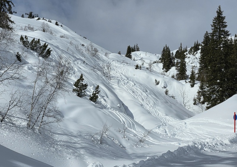 Freeride exit to mid-mountain