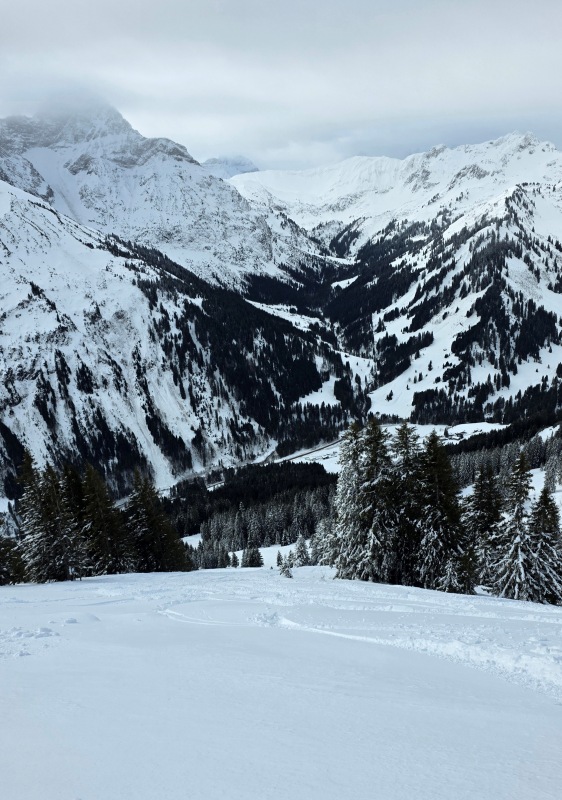 Walmendingerhorn powder