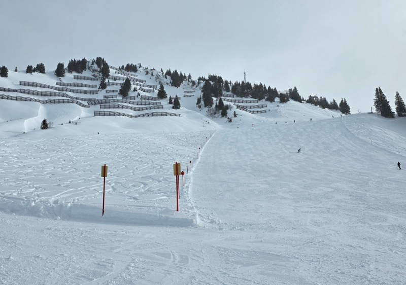Walmendingerhorn piste & powder