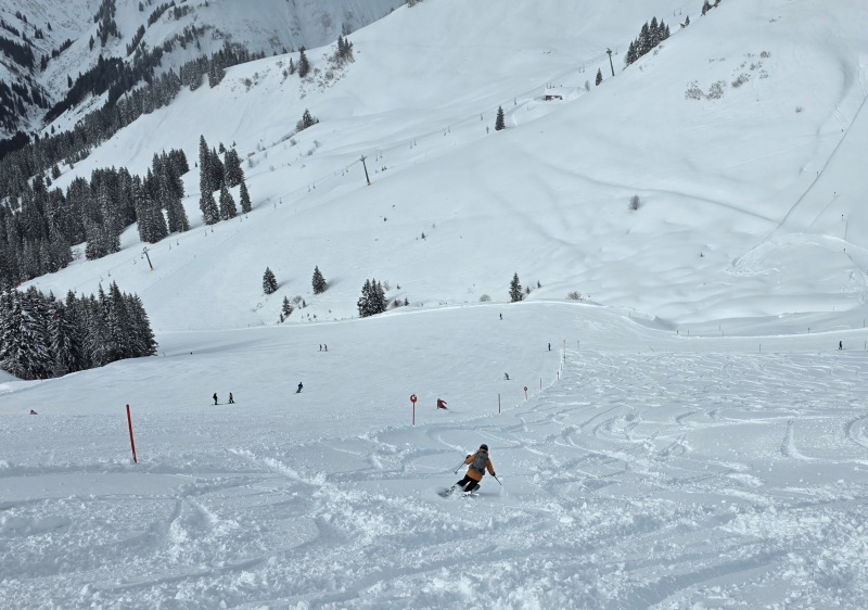Powder skiing at Walmendingerhorn