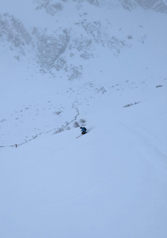 Freeride powder