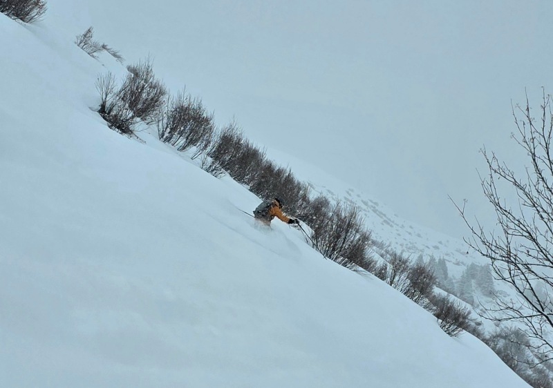 In deep at Silvretta Montafon