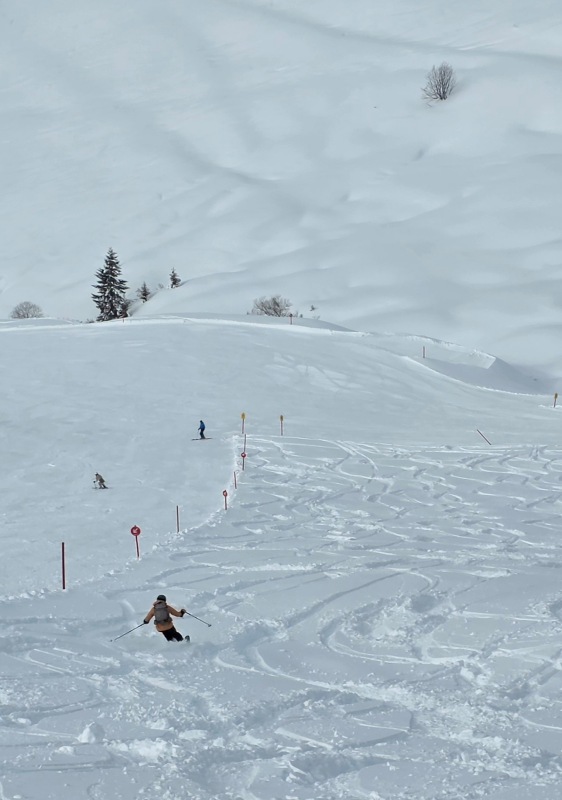Piste & powder