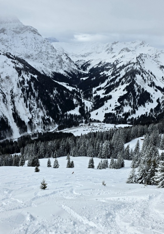 Good freeride terrain on Walmendingerhorn