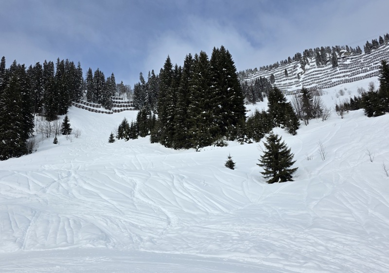 Potential freeride exits off Walmendingerhorn