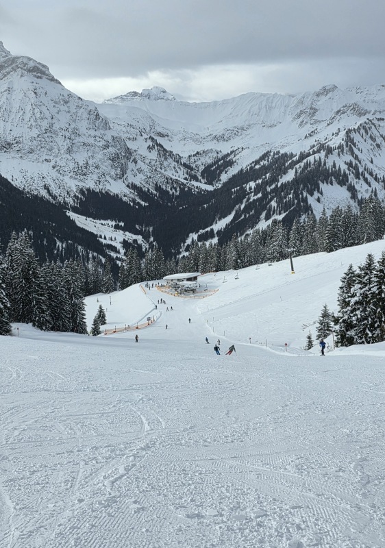 Piste skiing