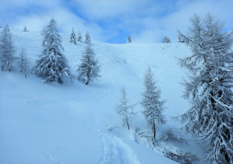 Zell am See Ski & Snowboard Lessons & Guiding Zell am See Ski