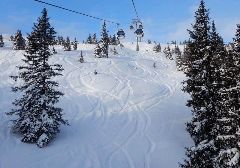 Zell am See Ski & Snowboard Lessons & Guiding Zell am See Ski