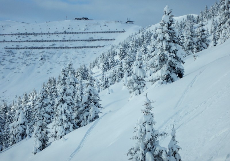 Zell am See Ski & Snowboard Lessons & Guiding Zell am See Ski