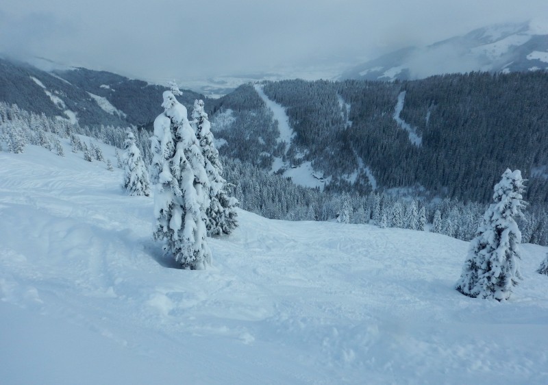 Zell am See Ski & Snowboard Lessons & Guiding Zell am See Ski