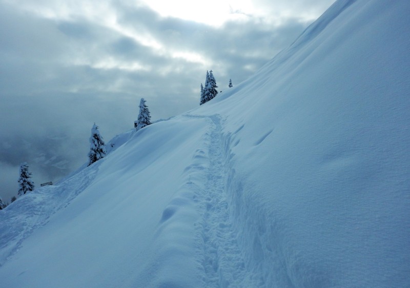 Zell am See Ski & Snowboard Lessons & Guiding Zell am See Ski