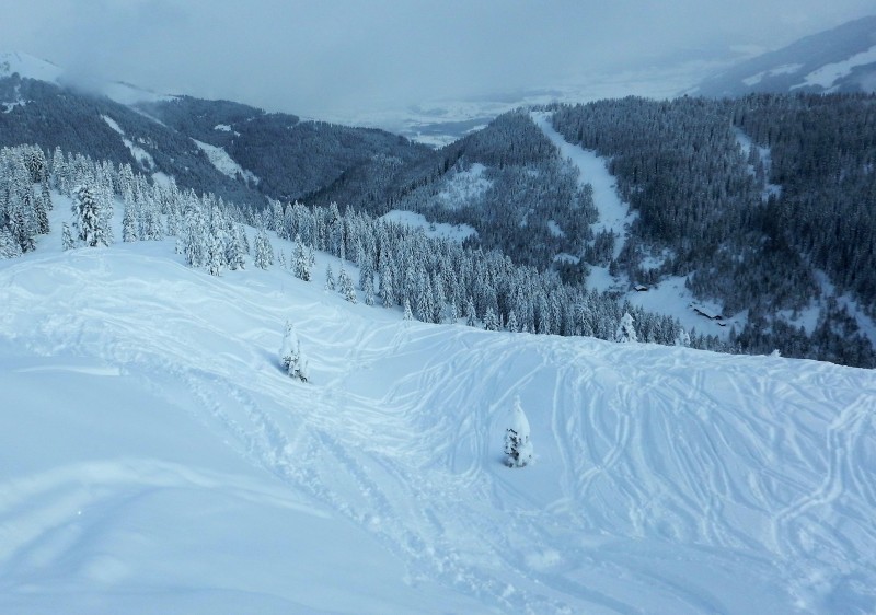 Zell am See Ski & Snowboard Lessons & Guiding Zell am See Ski