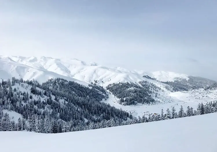 Cat Skiing Bakhmaro Accommodations