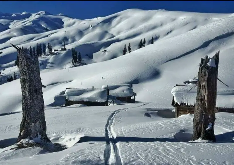 Cat Skiing Bakhmaro Package