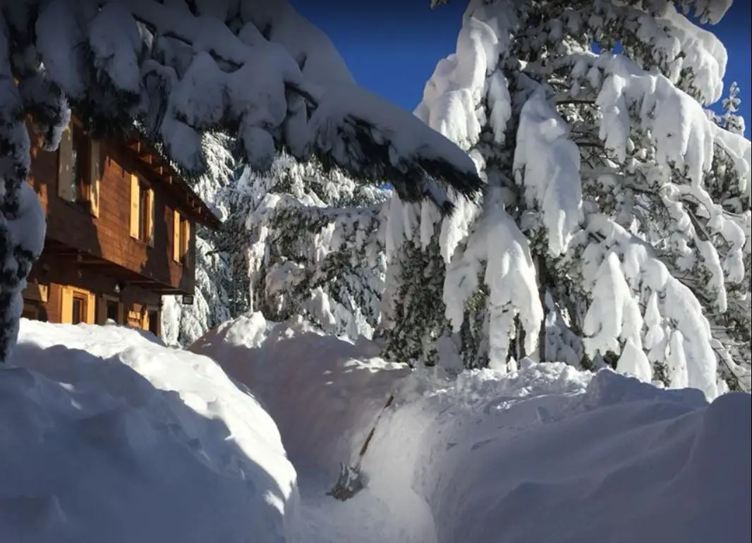 Lynx Freeride Cat Skiing Accommodation