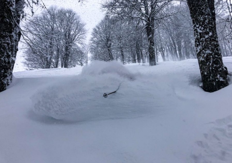 Project X Cat Skiing Adventure Tour Package, Powderproject.ch on Powderhounds