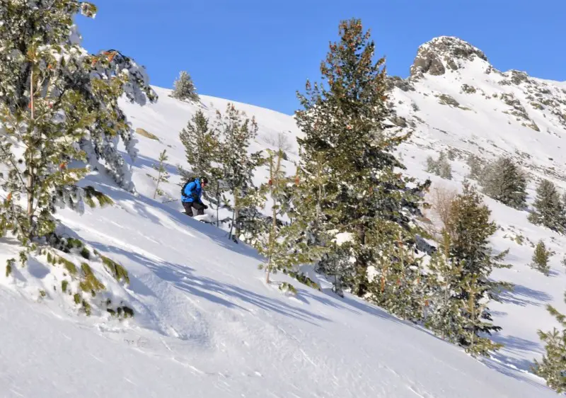 SF Freeride Cat Skiing