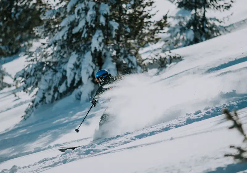 SF Freeride Cat Skiing