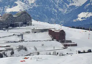 Skissim Premium - Résidence Les Hauts Bois, Aime 2000, La Plagne Apartments