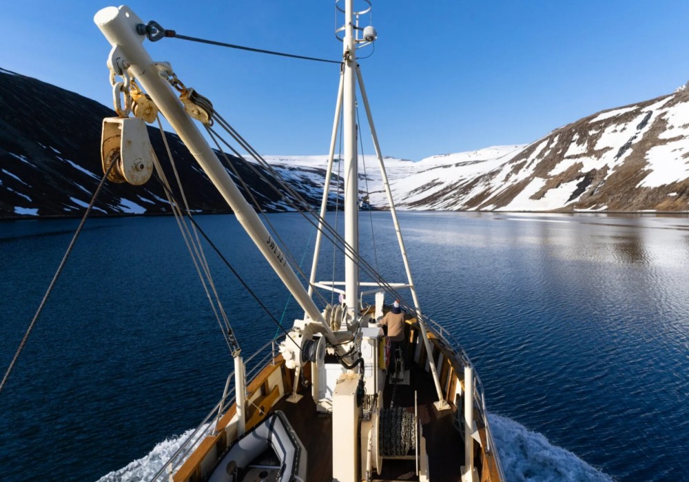 Sea to Summit Ski Touring in the Westfjords, Iceland, Summit Heliskiing on Powderhounds