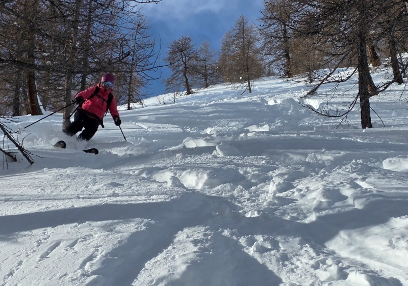 Crevacol larch powder