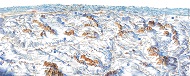 Dolomites Ski Resorts Map