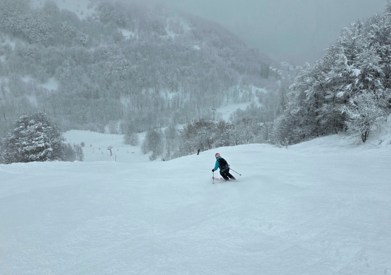 Actual skiing with viz!