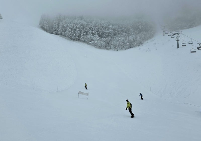 Just our group. Why does no one ski here?